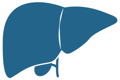 Logo du chapitre sur l'hypertension artérielle comme complication de l'obésité