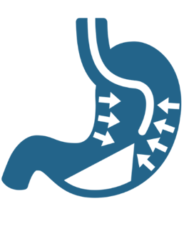 Logo des mécanismes de l’obésité illustrant les causes biologiques et comportementales