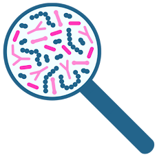 Logo du chapitre sur le mécanisme de l'obésité lié au microbiote intestinal