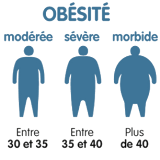 Logo de la section sur les différents stades de l'obésité